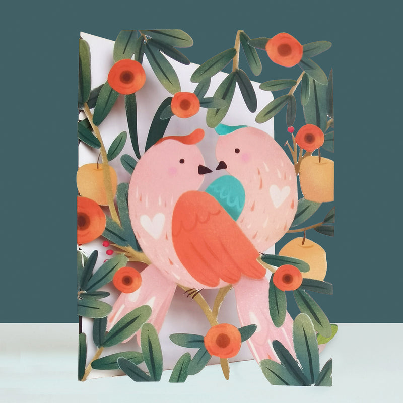 Valentine's Day card- LOVE BIRDS