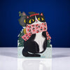 XWB001 -  CAT