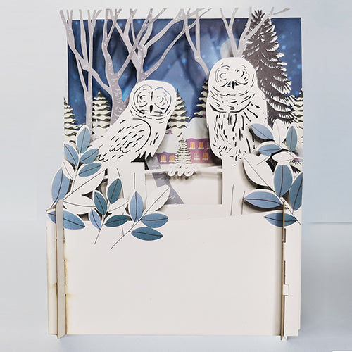 Christmas pop up card - owls